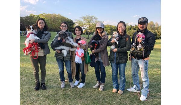 犬のしつけ教室・出張レッスンドッグスクール ヴィッセ～今日のわん子達～ 