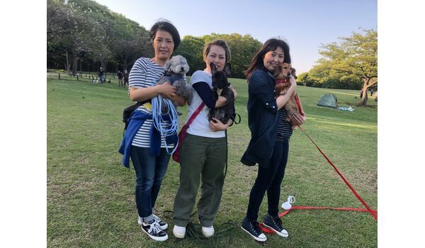 犬のしつけ教室・出張レッスンドッグスクール ヴィッセ～今日のわん子達～ 