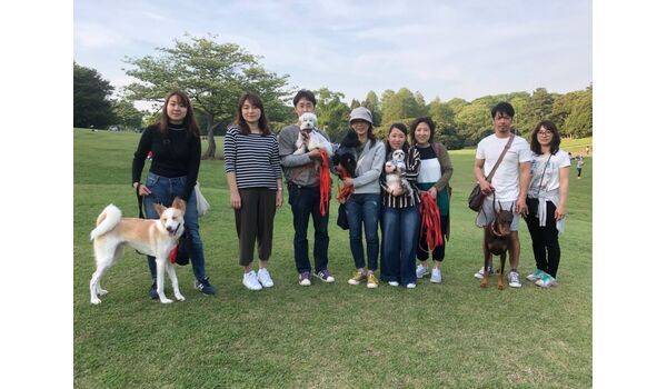 犬のしつけ教室・出張レッスンドッグスクール ヴィッセ～今日のわん子達～ 