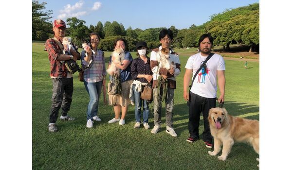 犬のしつけ教室・出張レッスンを行うドッグスクール ヴィッセ～今日のわん子達～