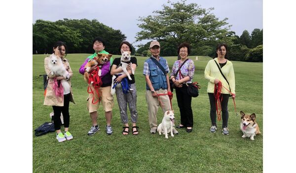 犬のしつけ教室・出張レッスンドッグスクール ヴィッセ～今日のわん子達～ 