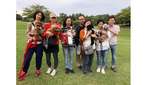 犬のしつけ教室・出張レッスンドッグスクール ヴィッセ～今日のわん子達～ 
