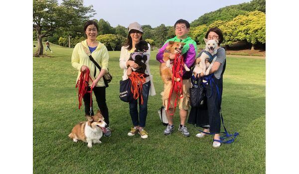 犬のしつけ教室・出張レッスンを行う、ドッグスクール ヴィッセ～今日のわんこ達～～