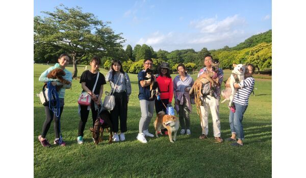犬のしつけ教室・出張レッスンを行う、ドッグスクール ヴィッセ～今日のわんこ達～