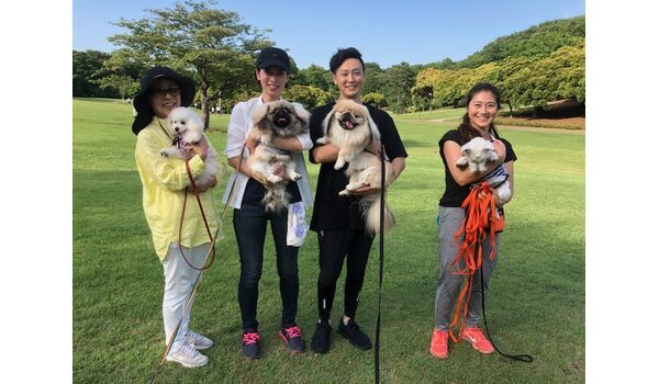 犬のしつけ教室・出張レッスンを行うドッグスクール ヴィッセ～今日のわんこ達～