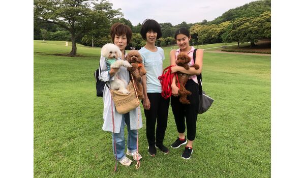 犬のしつけ教室・出張レッスンを行う、ドッグスクール ヴィッセ～今日のわん子達～ 