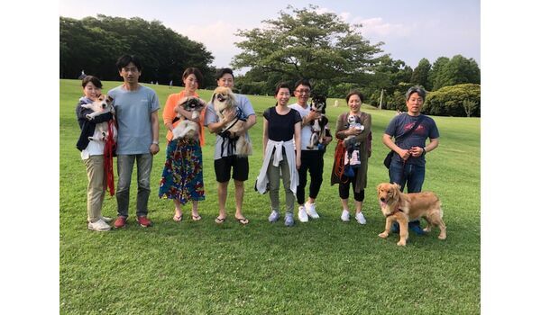 犬のしつけ教室・出張レッスンを行うドッグスクール ヴィッセ～今日のわん子達～ 