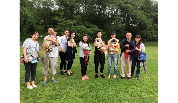 犬のしつけ教室・出張レッスンドッグスクール ヴィッセ～今日のわん子達～6月14日 