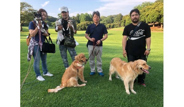 犬のしつけ教室・出張レッスンドッグスクール ヴィッセ～今日のわん子達～6月24日 