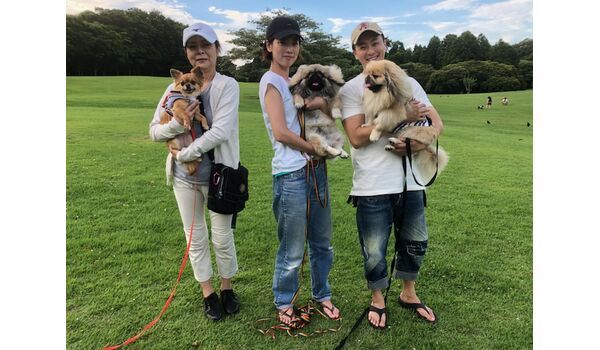 犬のしつけ教室・出張レッスンドッグスクール ヴィッセ～今日のわん子達～6月27日 