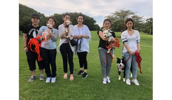 犬のしつけ教室・出張レッスンドッグスクール ヴィッセ～今日のわん子達～6月28日 