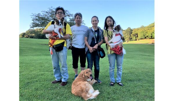 犬のしつけ教室・出張レッスンドッグスクール ヴィッセ～今日のわん子達～7月1日～ 