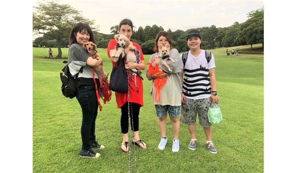 犬のしつけ教室・出張レッスンドッグスクール ヴィッセ～今日のわん子達～7月12日 