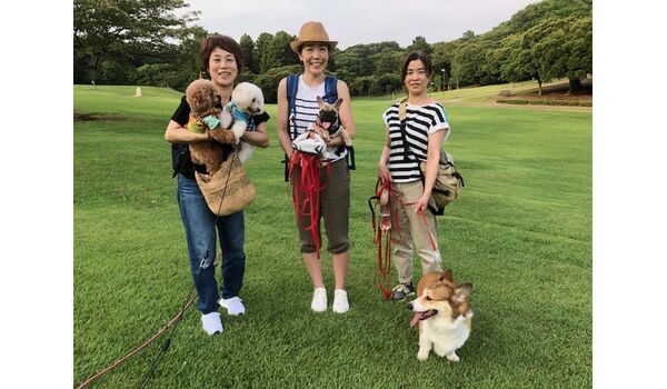 犬のしつけ教室・出張レッスンドッグスクール ヴィッセ～今日のわん子達～7月13日 