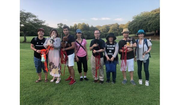犬のしつけ教室・出張レッスンドッグスクール ヴィッセ～今日のわん子達～7月20日～ 