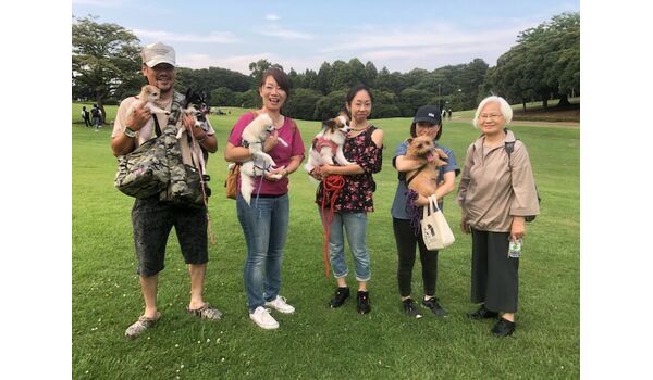 犬のしつけ教室・出張レッスンドッグスクール ヴィッセ～今日のわん子達～7月22日 