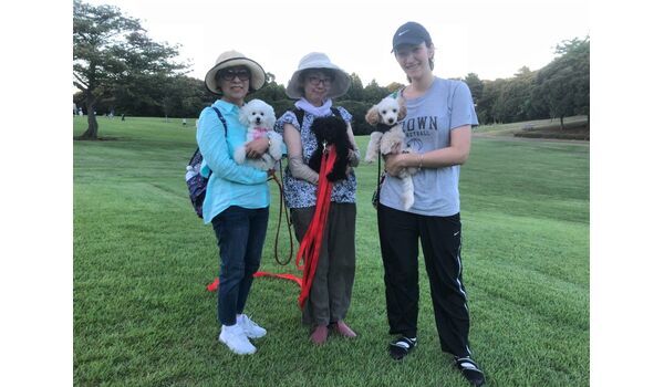 犬のしつけ教室・出張レッスンドッグスクール ヴィッセ～今日のわん子達～8月22日 