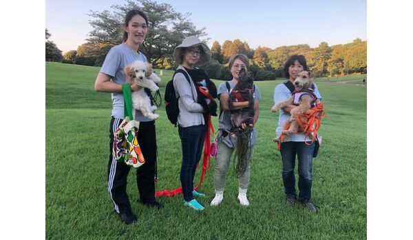 犬のしつけ教室・出張レッスンドッグスクール ヴィッセ～今日のわん子達～9月5日