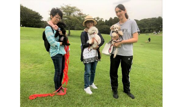 犬のしつけ教室・出張レッスンドッグスクール ヴィッセ～今日のわん子達～9月12日 