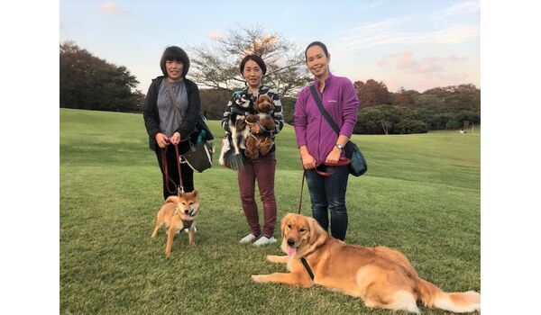 犬のしつけ教室・出張レッスンドッグスクール ヴィッセ～今日のわん子達～10月18日