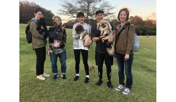 犬のしつけ教室・出張レッスンドッグスクール ヴィッセ～今日のわん子達～10月24日