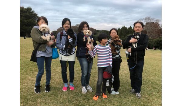 犬のしつけ教室・出張レッスンドッグスクール ヴィッセ～今日のわん子達11月3日