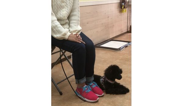 犬のしつけ教室・出張レッスンドッグスクール ヴィッセ～コントロールポジション 