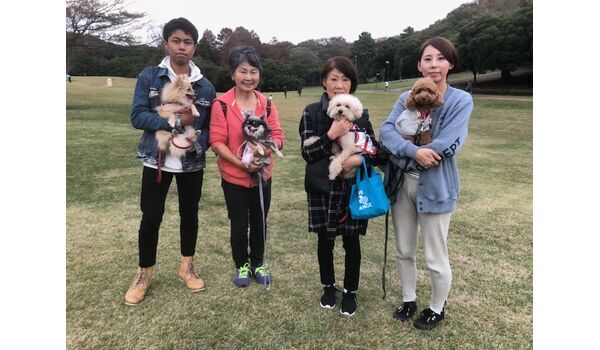 犬のしつけ教室・出張レッスンドッグスクール ヴィッセ～今日のわん子達11月10日 