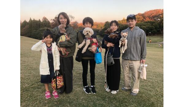 犬のしつけ教室・出張レッスンドッグスクール ヴィッセ～今日のわん子達～11月17日