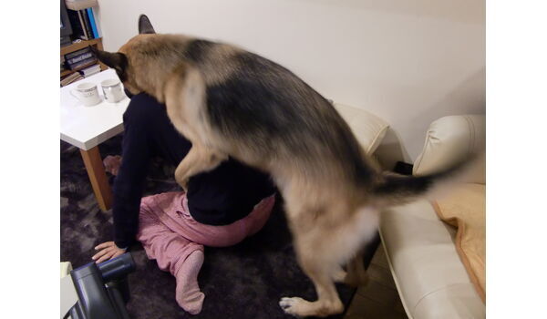 マウンティングを許すと、犬が飼い主よりも上になる！？～11月21日
