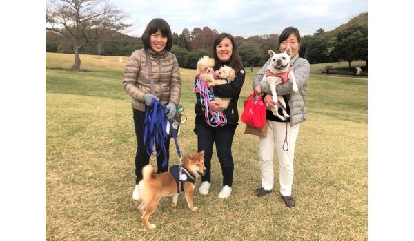 犬のしつけ教室・出張レッスンドッグスクール ヴィッセ～今日のわん子達～11月22日