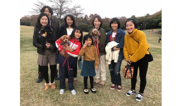 犬のしつけ教室・出張レッスンドッグスクール ヴィッセ～今日のわん子達～11月25日