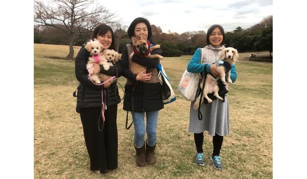 犬のしつけ教室・出張レッスンドッグスクール ヴィッセ～今日のわん子達～12月13日