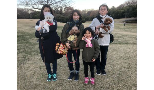 犬のしつけ教室・出張レッスンドッグスクール ヴィッセ～今日のわん子達～12月15日