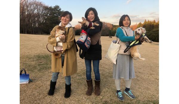 犬のしつけ教室・出張レッスンドッグスクール ヴィッセ～今日のわん子達～12月21日