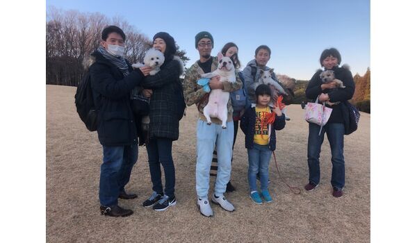 犬のしつけ教室・出張レッスンドッグスクール ヴィッセ～今日のわん子達～1月13日