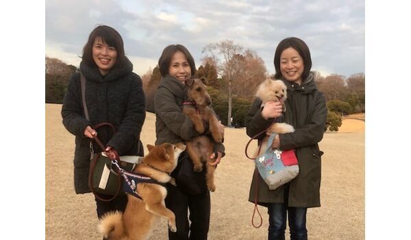 犬のしつけ教室・出張レッスンドッグスクール ヴィッセ～今日のわん子達～1月25日