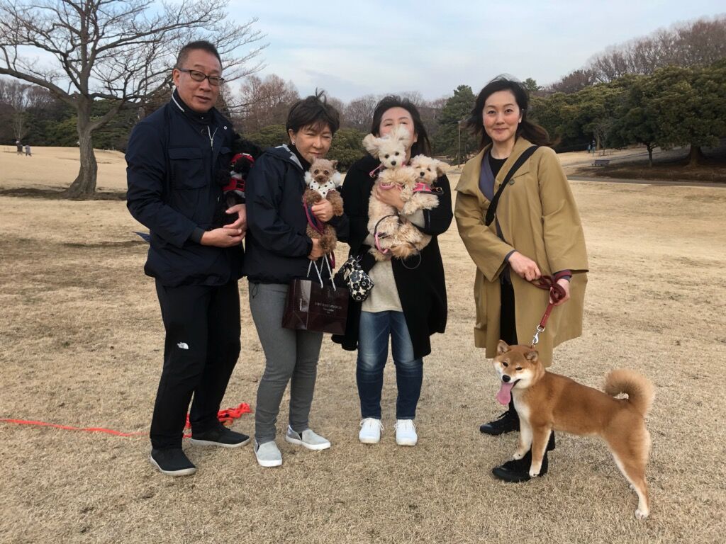 横浜市の犬のしつけレッスン/お散歩レッスン～今日のわん子達
