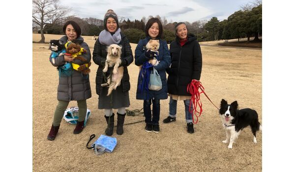 犬のしつけ教室・出張レッスンドッグスクール ヴィッセ～今日のわん子達～2月8日