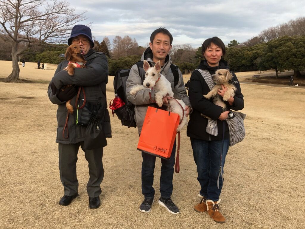 横浜市の犬のしつけレッスン/お散歩レッスン～今日のわん子達