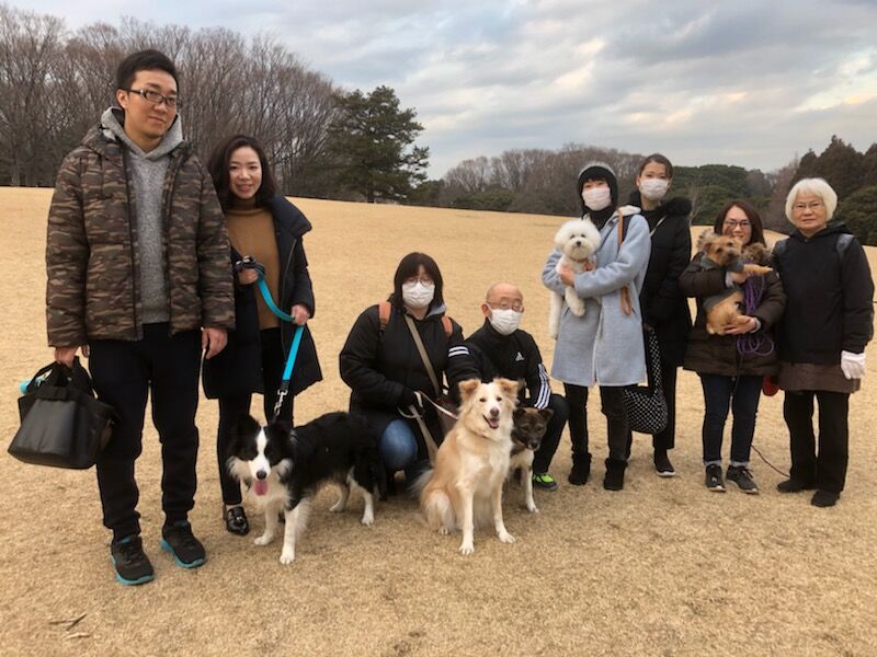 横浜市の犬のしつけレッスン/お散歩レッスン～今日のわん子達