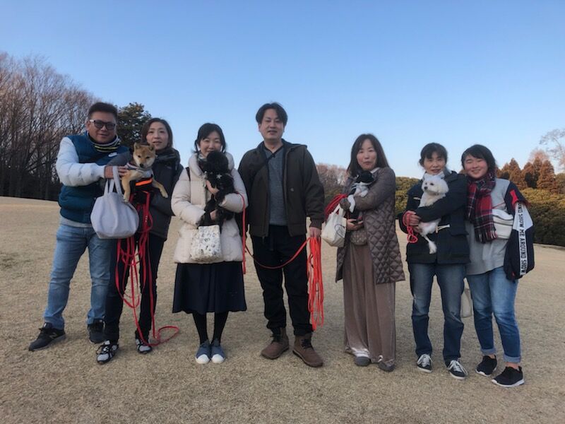 横浜市の犬のしつけレッスン/お散歩レッスン～今日のわん子達