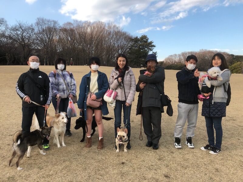 横浜市の犬のしつけレッスン/お散歩レッスン～今日のわん子達