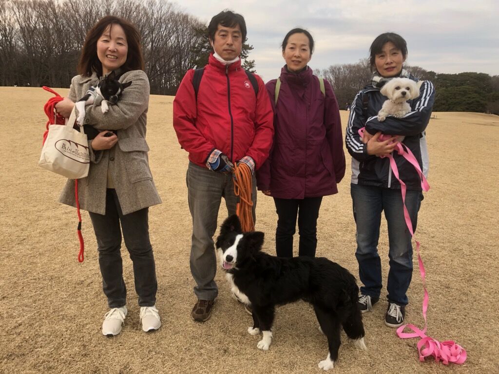 横浜市の犬のしつけレッスン/お散歩レッスン～今日のわん子達