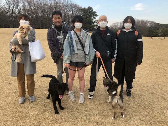 横浜市の犬のしつけレッスン/お散歩レッスン～今日のわん子達