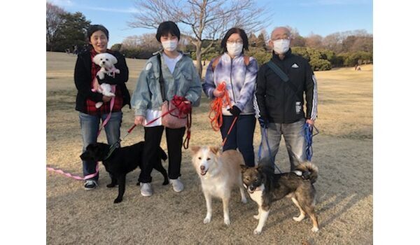 犬のしつけ教室・出張レッスン・無駄吠えの矯正レッスンを行う、ドッグスクール ヴィッセの今日のわん子達。 