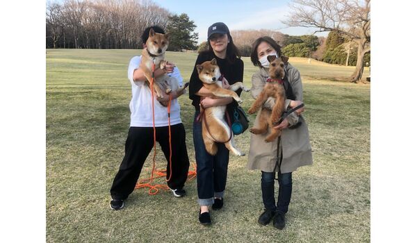 犬のしつけ教室・出張レッスン・無駄吠えの矯正レッスンを行うドッグスクール ヴィッセ、今日のわん子達です～3月20日