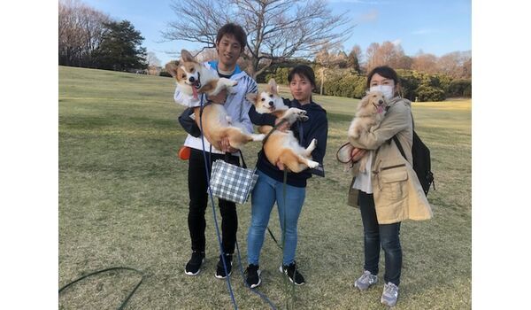 犬のしつけ教室・出張レッスン・無駄吠えの矯正レッスンを行うドッグスクール ヴィッセ、今日のわん子達です～3月21日 