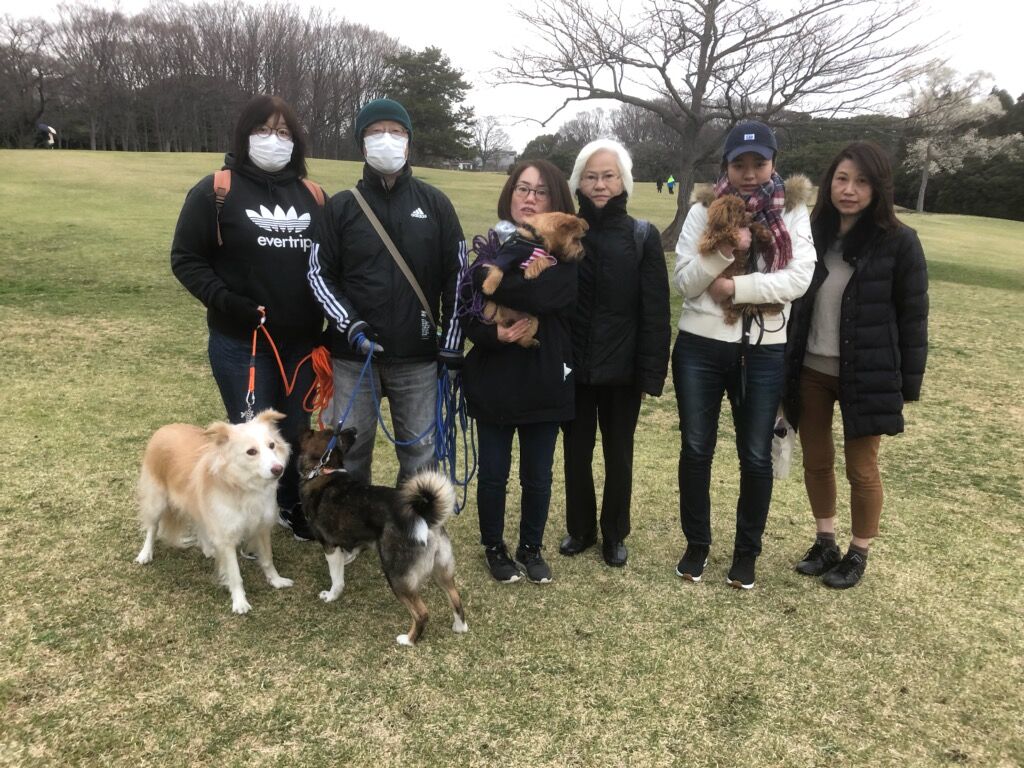 横浜市の犬のしつけ教室/お散歩レッスン～今日のわん子達