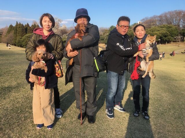 横浜市の犬のしつけ教室/お散歩レッスン～今日のわん子達